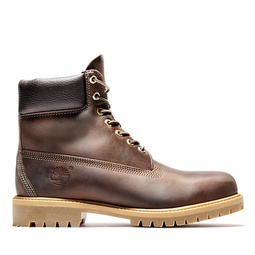    TIMBERLAND BOOT 6 ANNVRSRY - brown